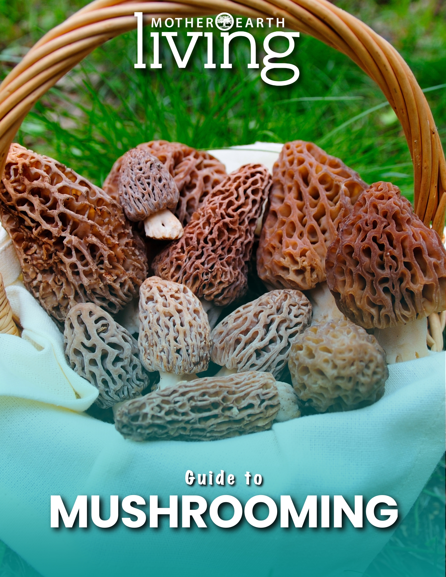 Mushrooming